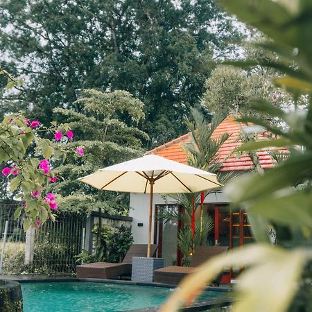 Senja D'Ubud Guest House Exterior photo