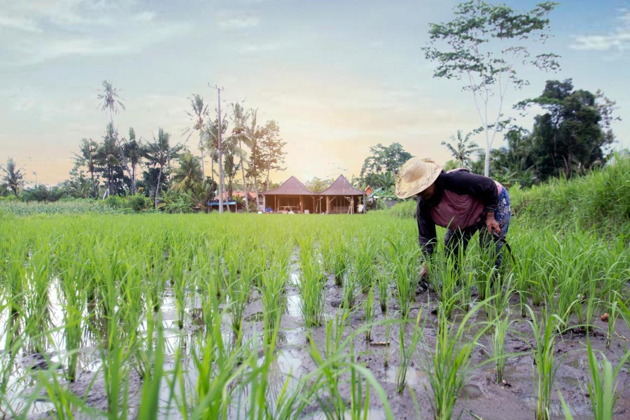 Senja D'Ubud Guest House Exterior photo